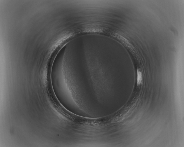 X0000113950627200909251339