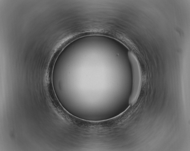 X0000113950628200909251339