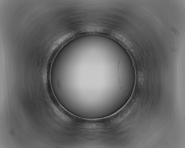X0000113950629200909251339
