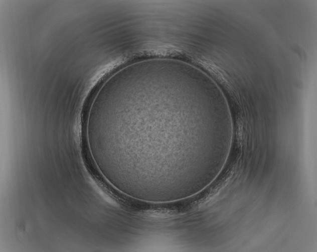X0000113950630200909251339
