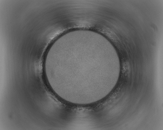 X0000113950632200909251339