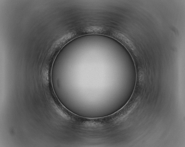 X0000113950633200909251339