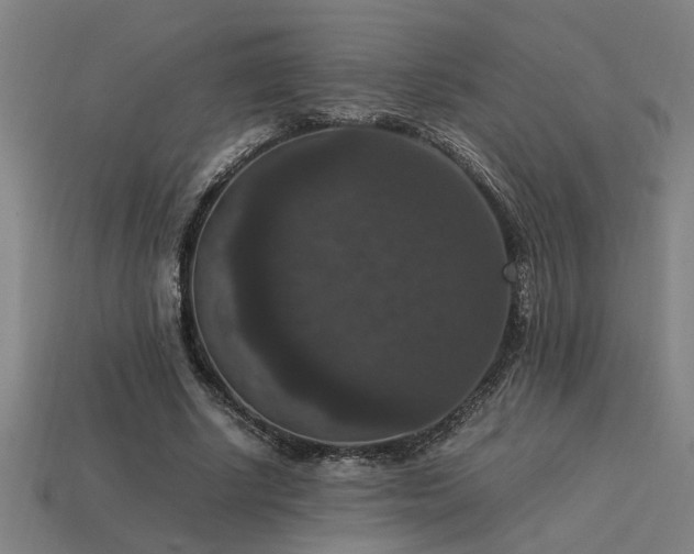 X0000113950634200909251339