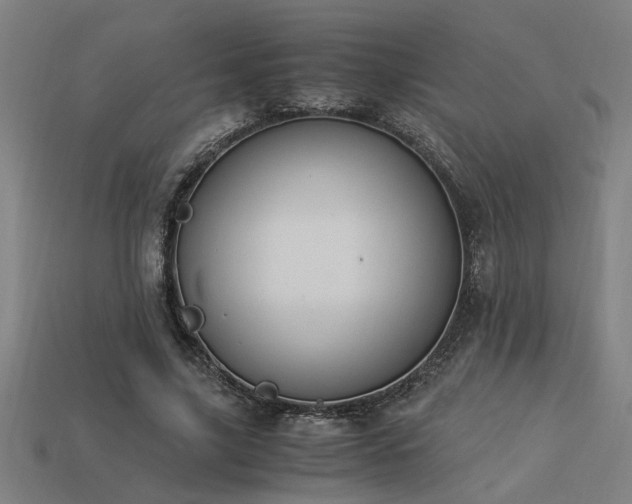 X0000113950635200909251339
