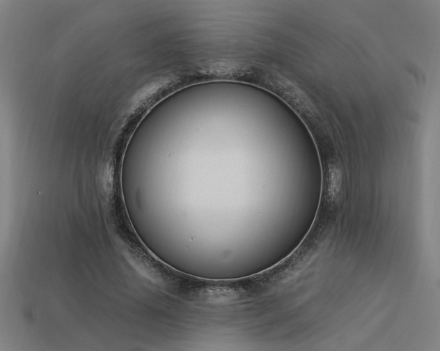 X0000113950636200909251339