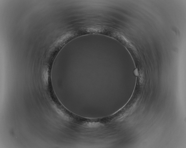 X0000113950637200909251339