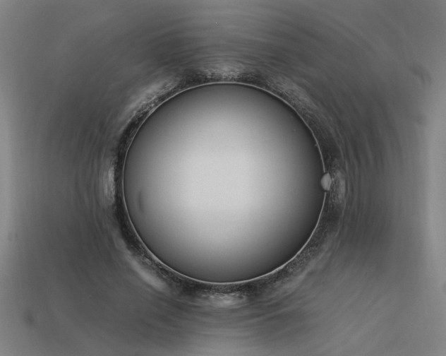 X0000113950638200909251339