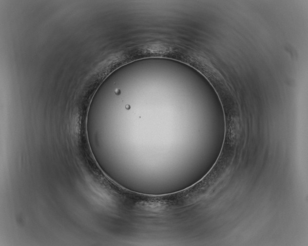X0000113950639200909251339