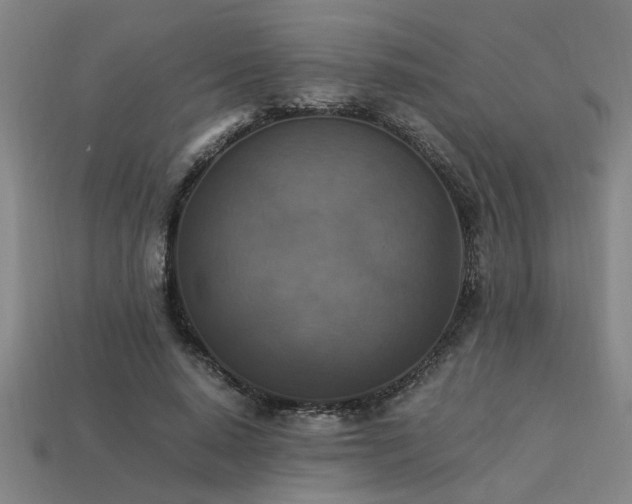 X0000113950640200909251339