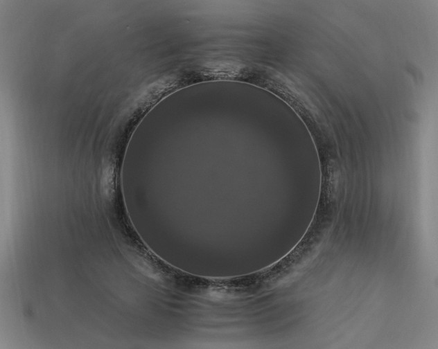 X0000113950641200909251339