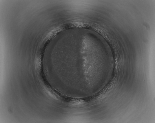 X0000113950642200909251339