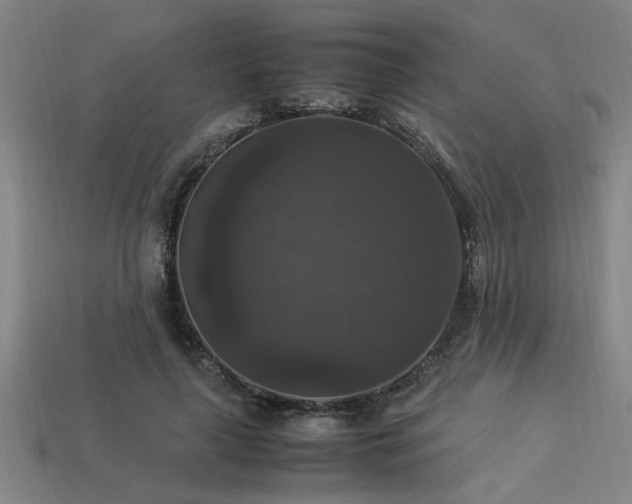 X0000113950643200909251339