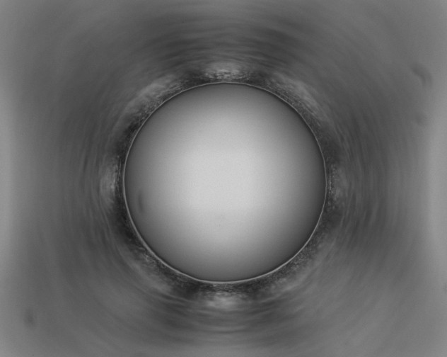 X0000113950645200909251339