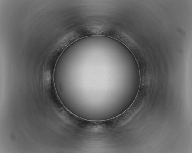 X0000113950646200909251339