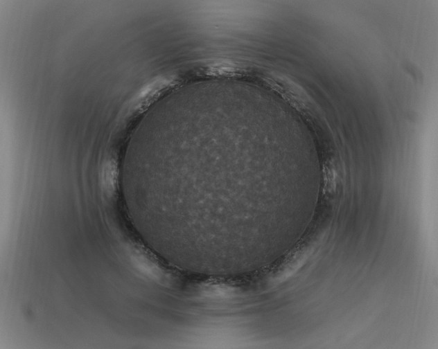 X0000113950648200909251339