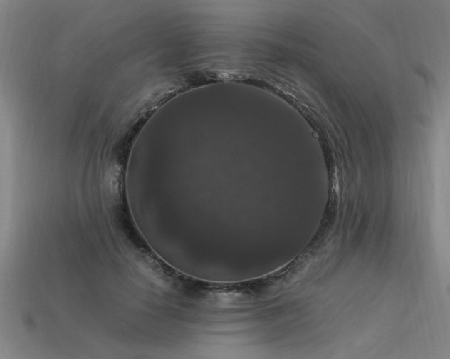 X0000113950650200909251339