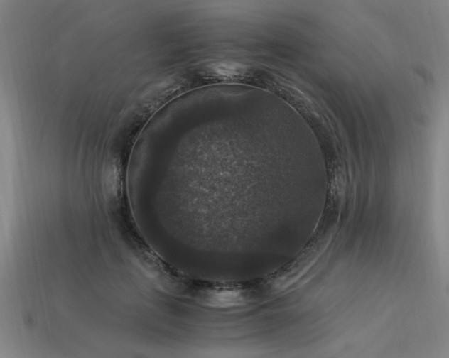 X0000113950651200909251339