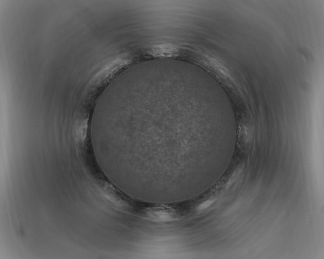 X0000113950652200909251339