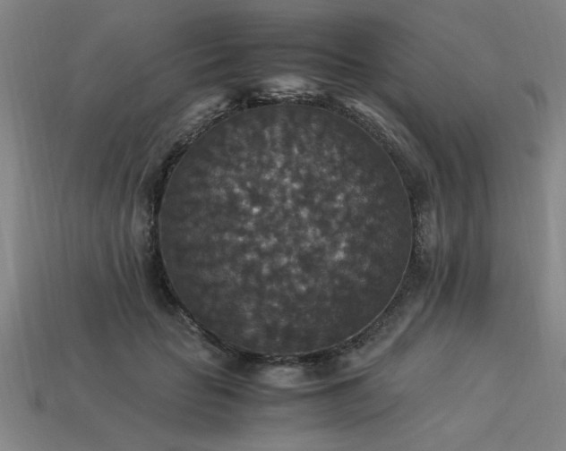 X0000113950653200909251339