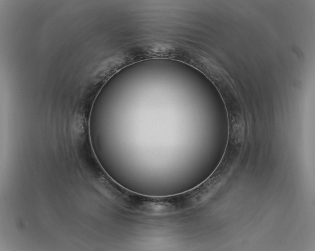 X0000113950654200909251339