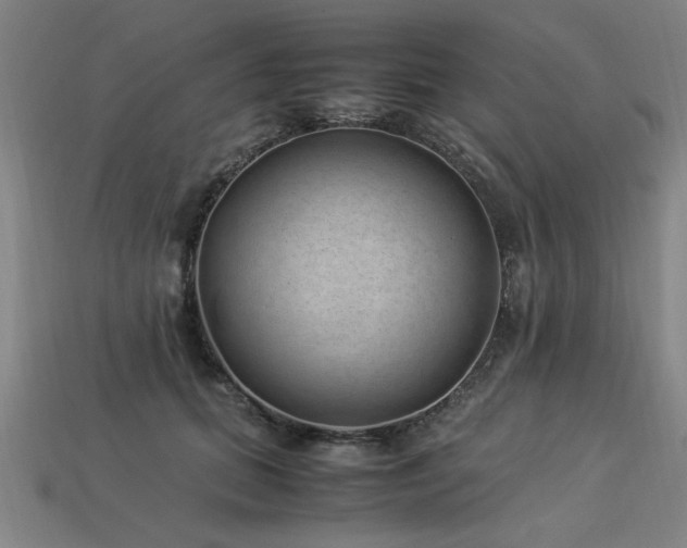 X0000113950655200909251339