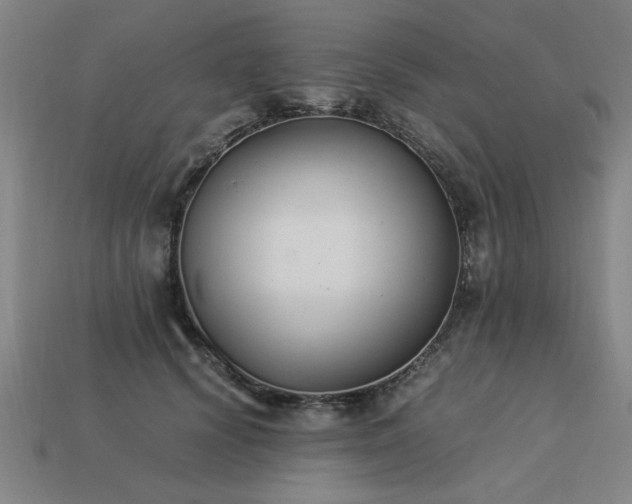 X0000113950656200909251339