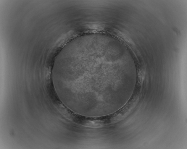 X0000113950657200909251339