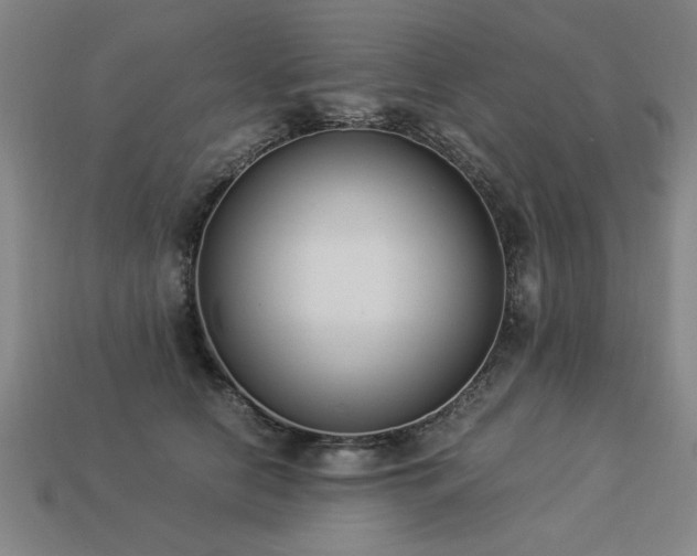 X0000113950658200909251339