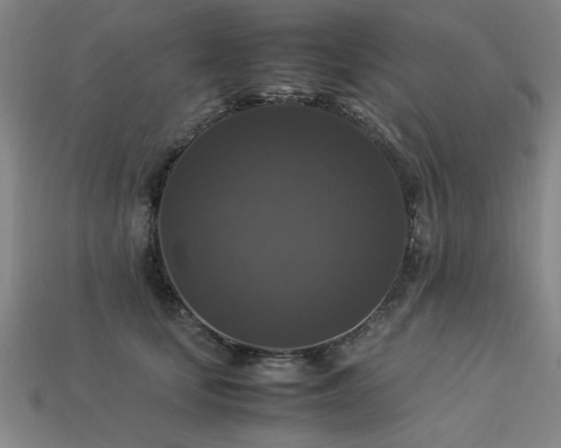 X0000113950659200909251339