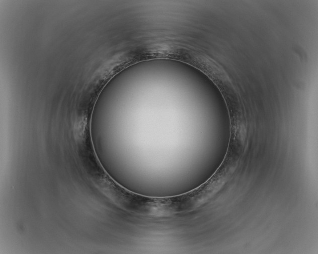 X0000113950660200909251339