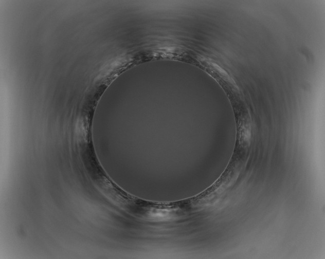 X0000113950661200909251340