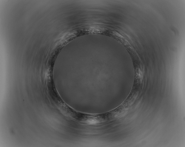 X0000113950663200909251340