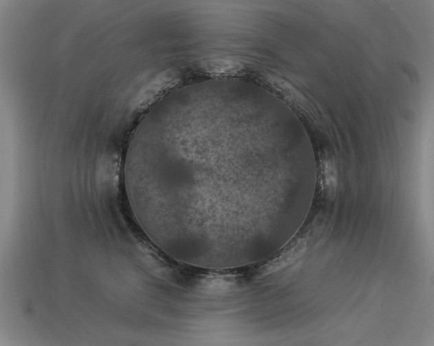 X0000113950664200909251340