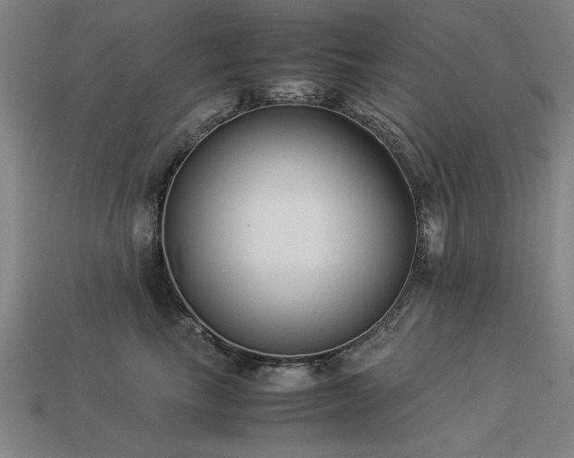 X0000113950665200909251340