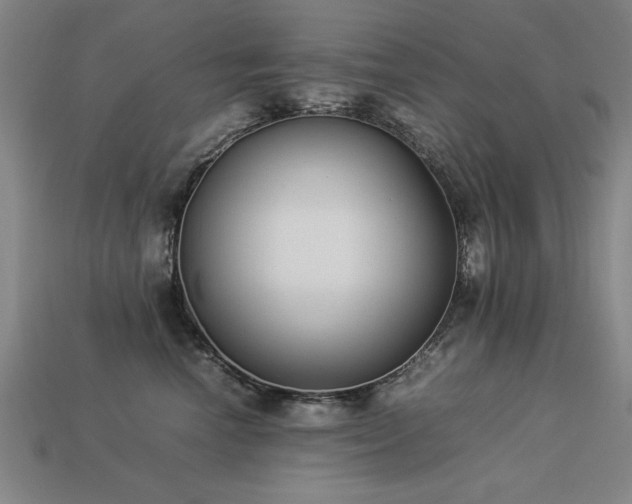 X0000113950666200909251340