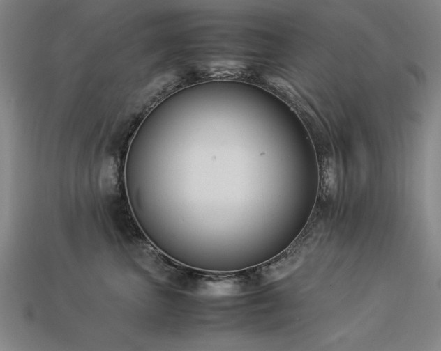 X0000113950667200909251340