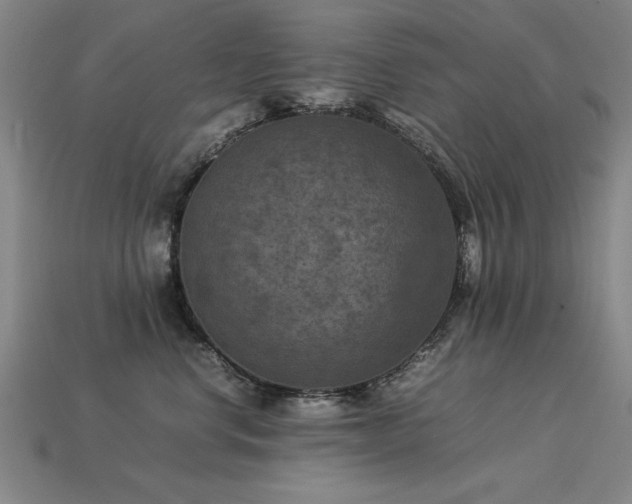 X0000113950668200909251340