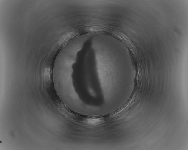 X0000113950669200909251340