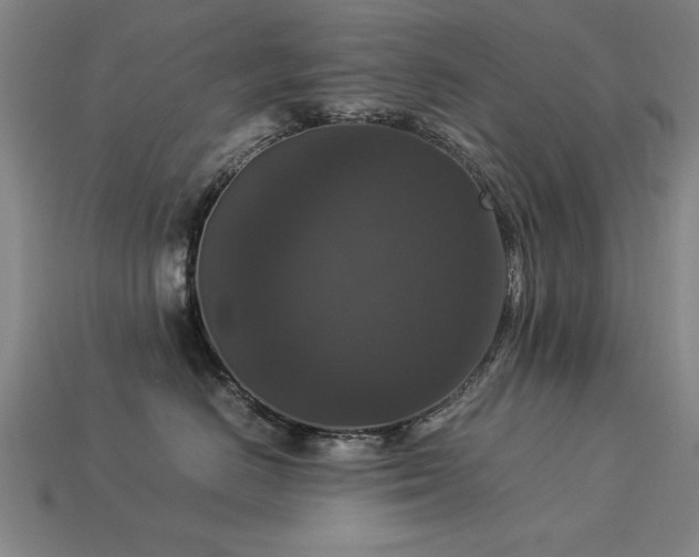 X0000113950670200909251340