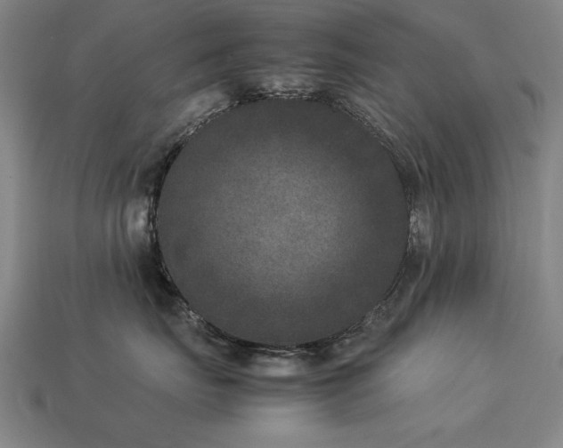 X0000113950671200909251340