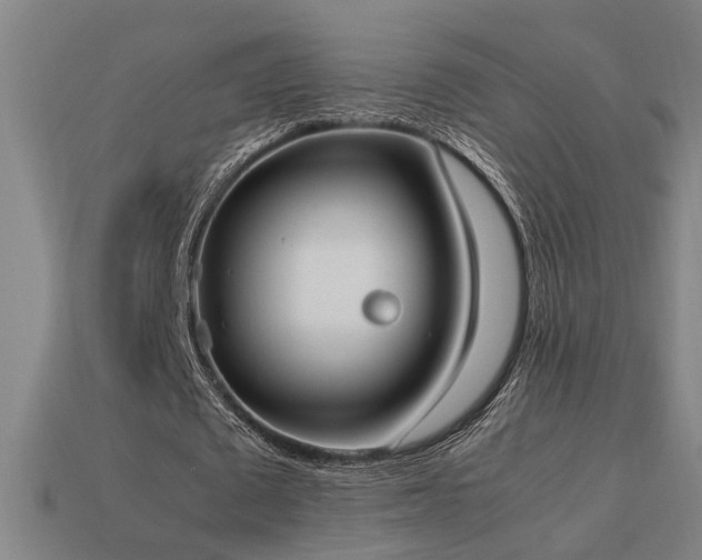 X0000113950673200909251339