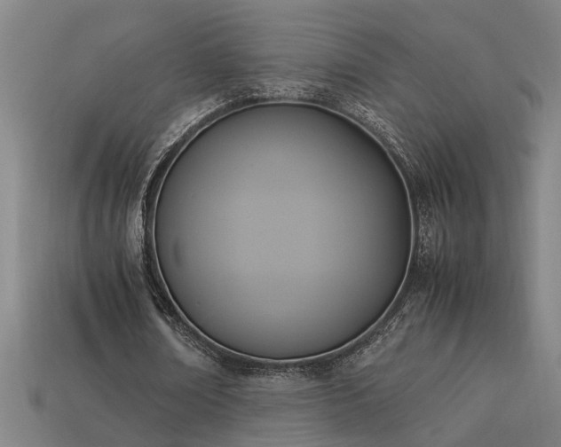 X0000113950674200909251339