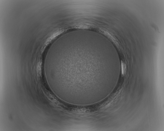 X0000113950675200909251339