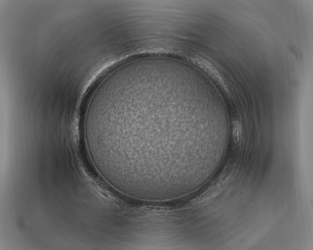 X0000113950676200909251339