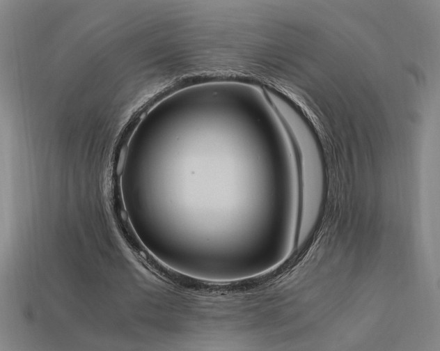 X0000113950677200909251339