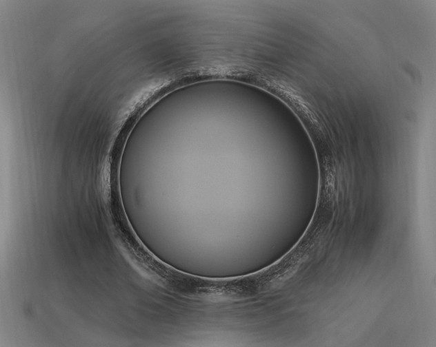 X0000113950678200909251339