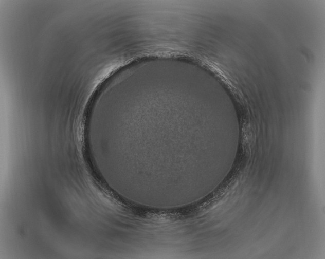 X0000113950679200909251339