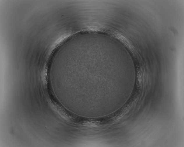 X0000113950680200909251339