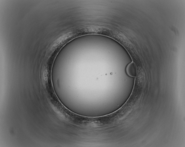 X0000113950683200909251339
