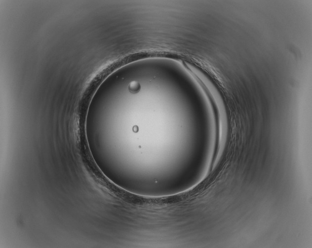 X0000113950684200909251339